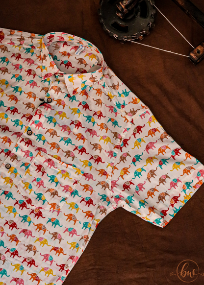 Elephant Kaleidoscope