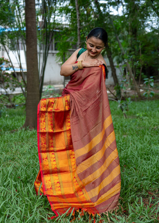 Narayanpeth Splendor Saree Brown
