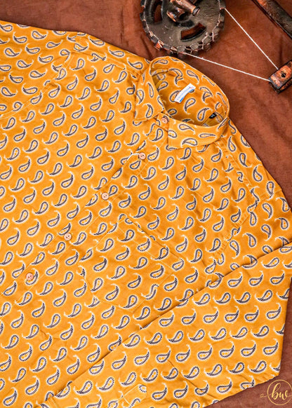 The Paisley Radiance